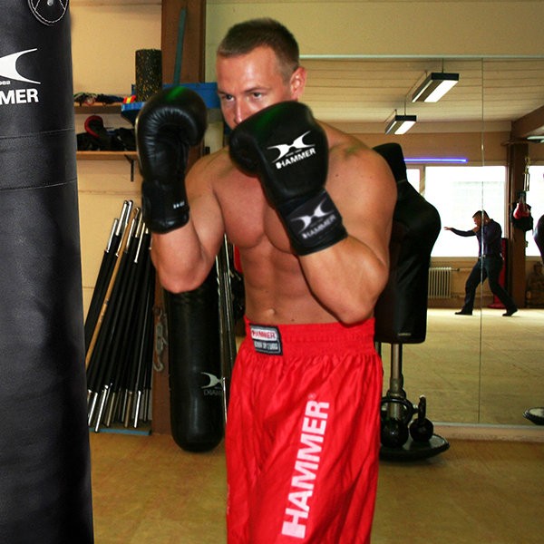 Боксерские перчатки Hammer Premium Fight 12 oz 94712