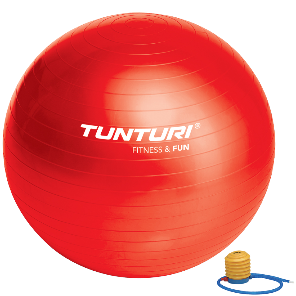 Фитбол (мяч для фитнеса) Tunturi Gymball 65 cm 14TUSFU170