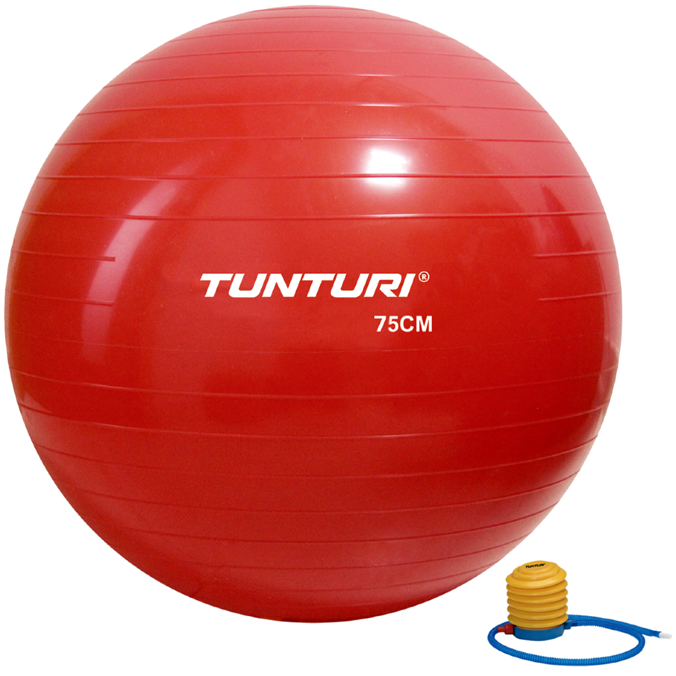 Фитбол (мяч для фитнеса) Tunturi Gymball 75 cm 14TUSFU282