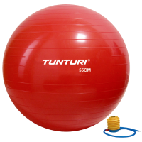 Фитбол (мяч для фитнеса) Tunturi Gymball 55 cm 14TUSFU281