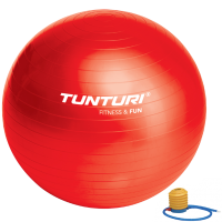 Фитбол (мяч для фитнеса) Tunturi Gymball 65 cm 14TUSFU170