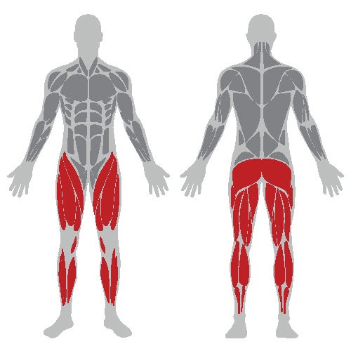Жим ногами под углом 45° Master-Sport NS 14