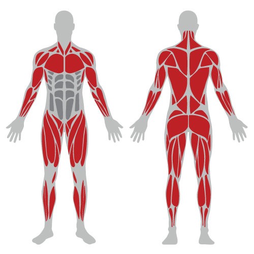 Силовая стойка Master-Sport NS 17